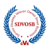 Service Disabled Veteran Owned Small Business